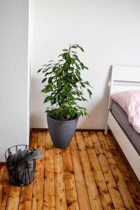 Schoene Dachgeschosswohnung Nahe Koeln Ngoại thất bức ảnh